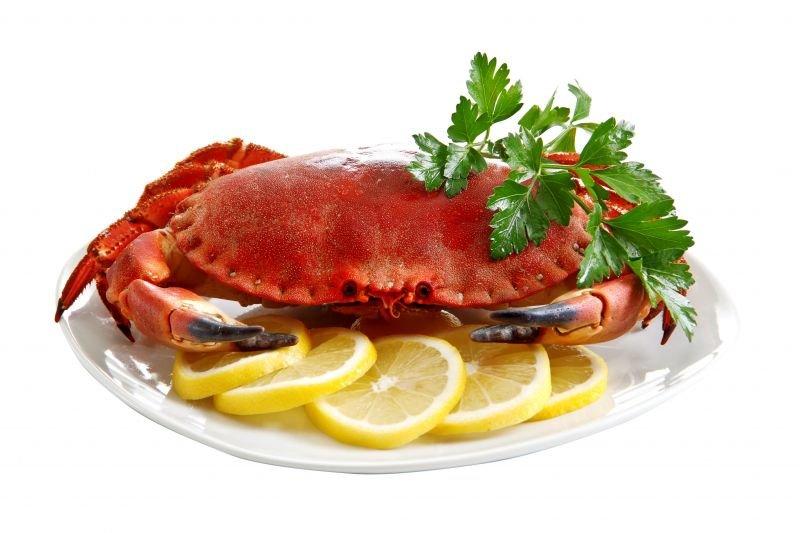 Krab - recepty - Labužník.cz