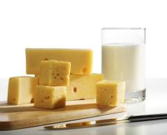 Mléčné výrobky a sýry
