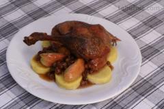 Pečená kachna s jablky a rozinkovou omáčkou