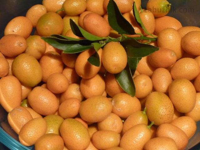 Kumquatová marmeláda