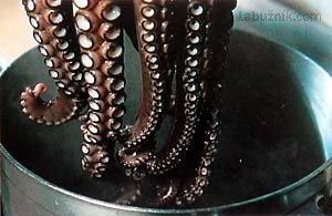Chobotnice - Pulpo negros