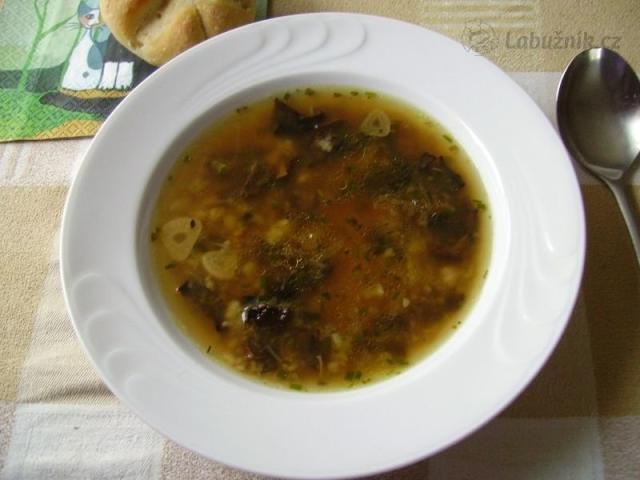 Chlupáčova polévka à la krkonošský „Psí vejkrop“
