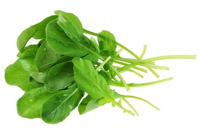 Roketa