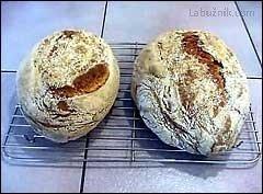 CIABATTA chléb - tradiční italská bačkora
