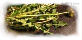Pampeliškové pesto